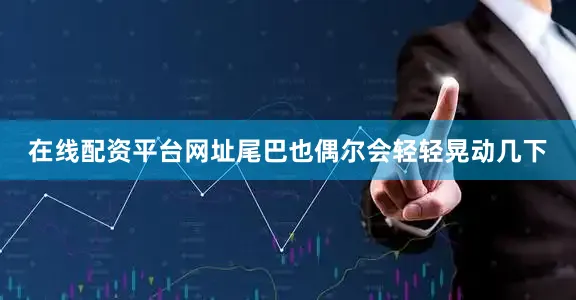 在线配资平台网址尾巴也偶尔会轻轻晃动几下
